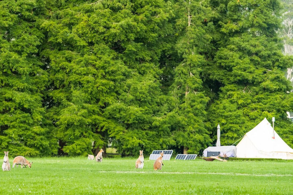 Photo of Others in Lemon Tree