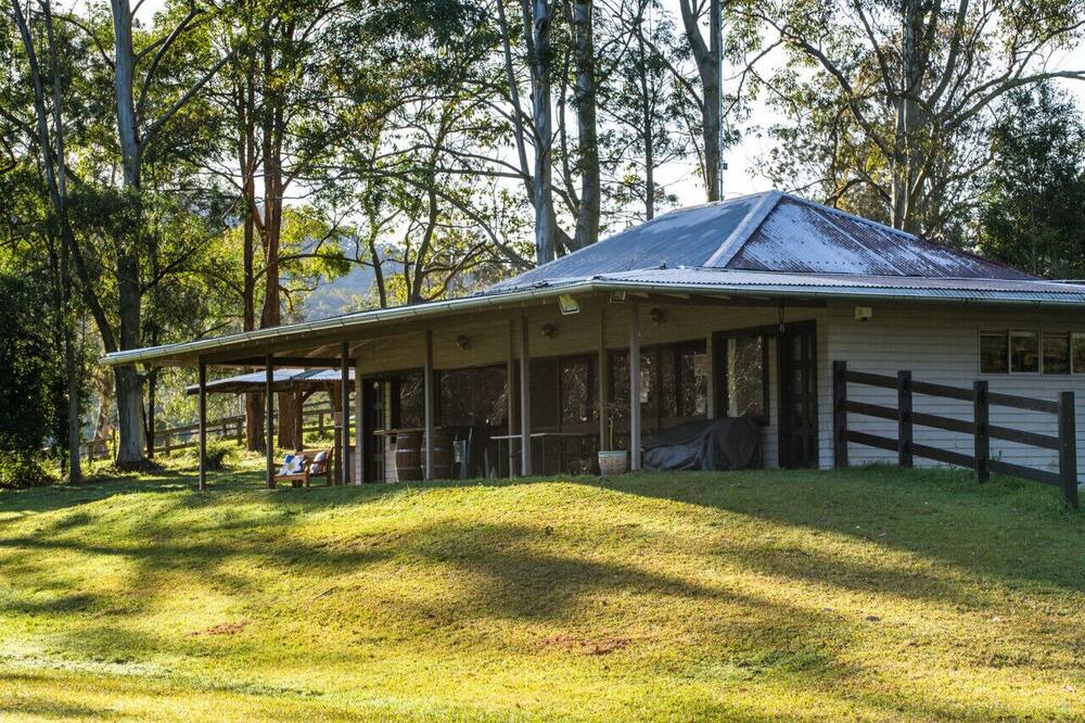 Photo of Others in Lemon Tree