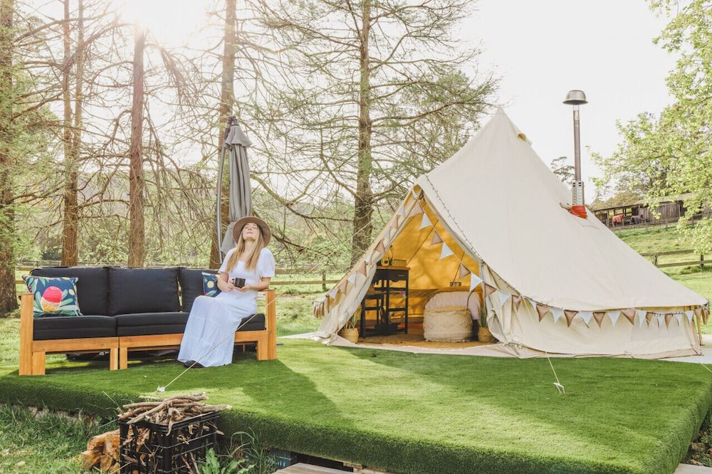 Photo of Others in Lemon Tree