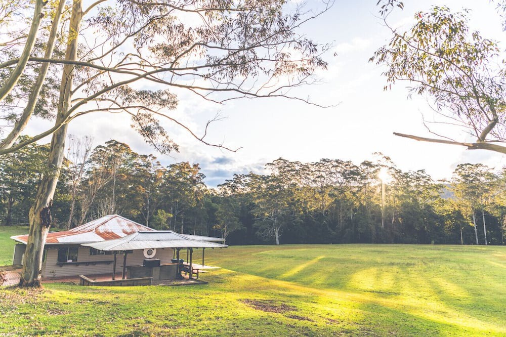 Photo of Others in Lemon Tree