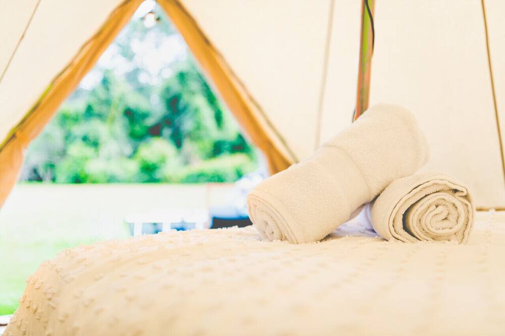 Photo of Others in Lemon Tree