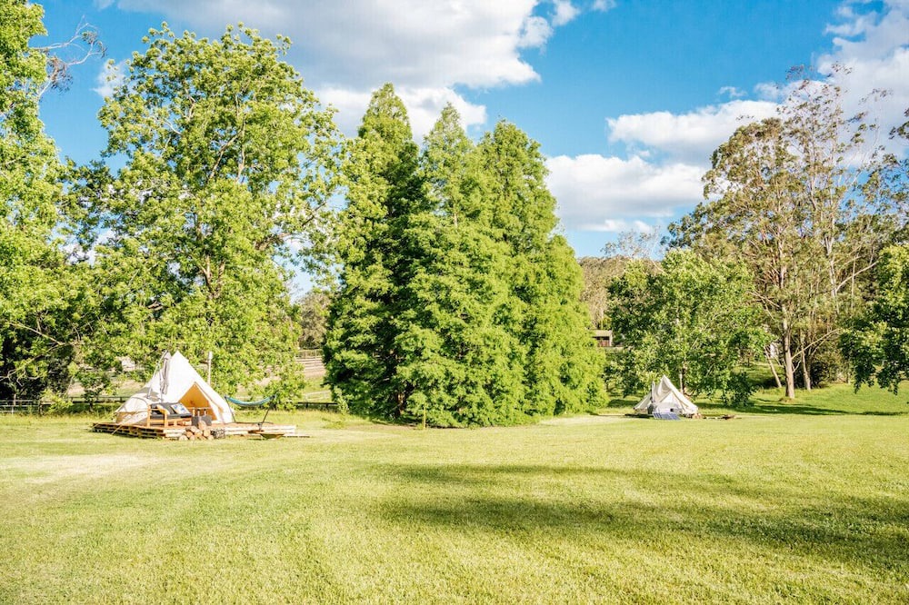Photo of Others in Lemon Tree
