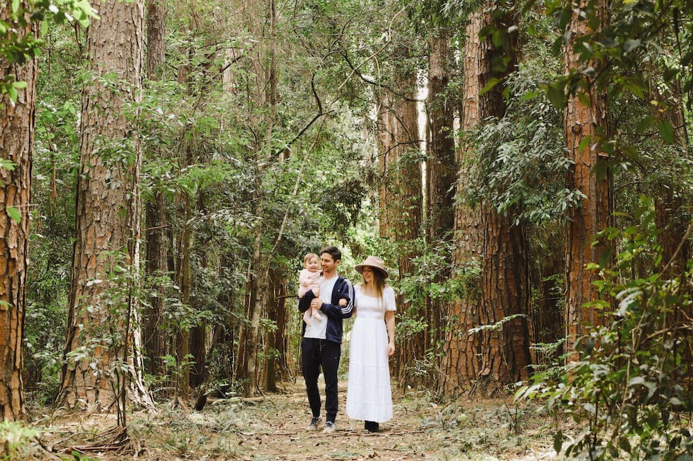 Photo of Others in Lemon Tree