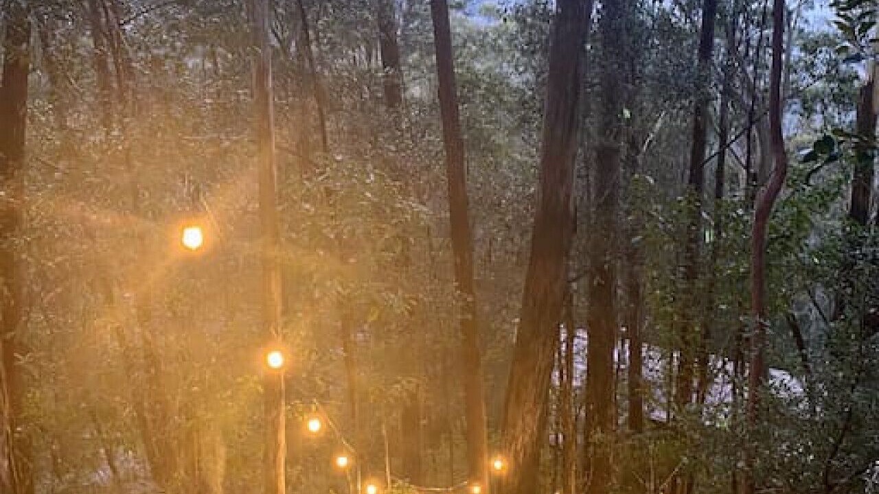 Photo of Outdoor in Hornsby