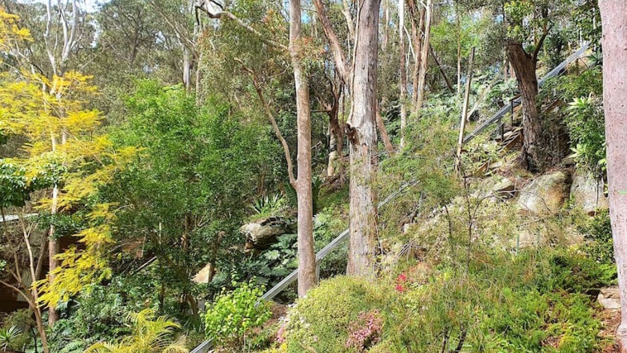 Photo of Outdoor in Hornsby