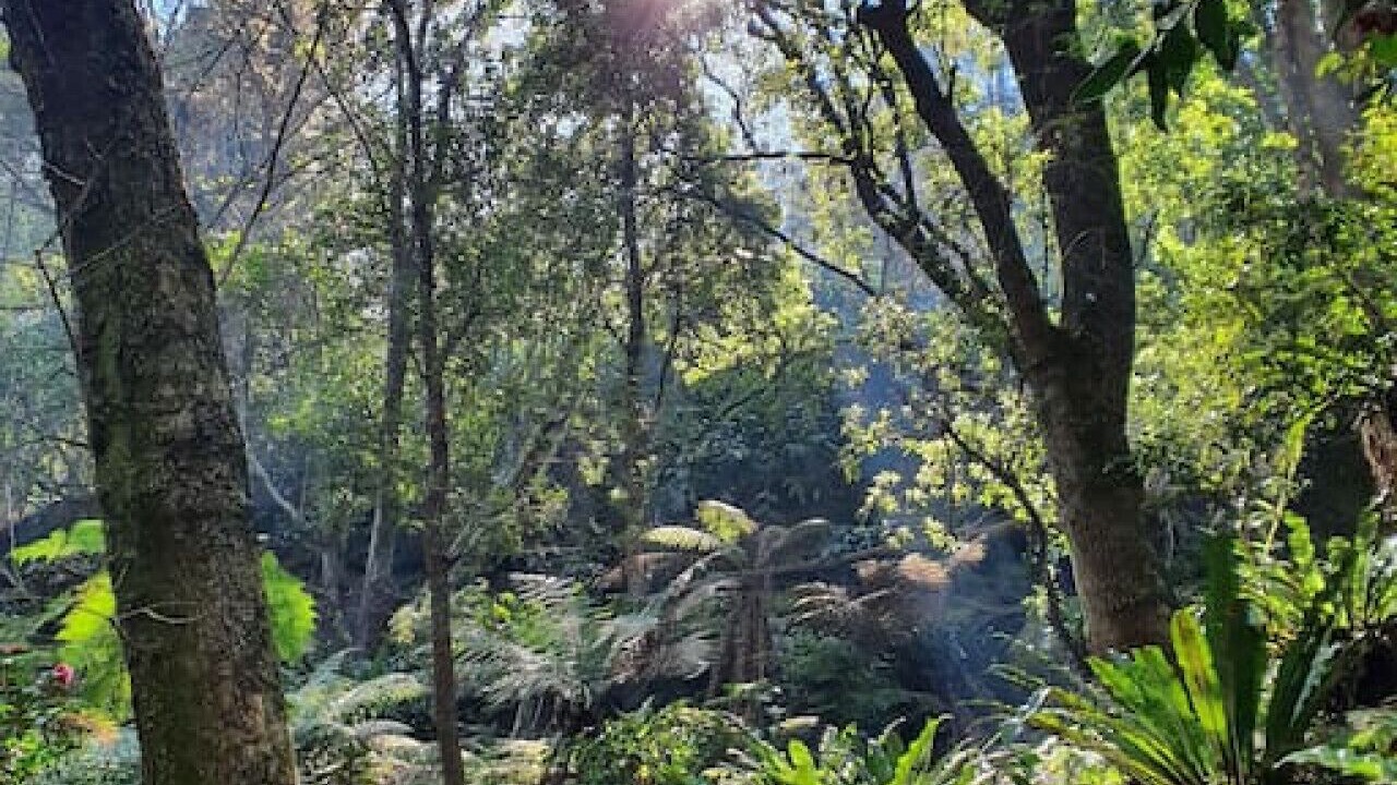 Photo of Outdoor in Hornsby