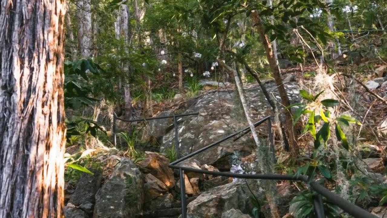 Photo of Outdoor in Hornsby