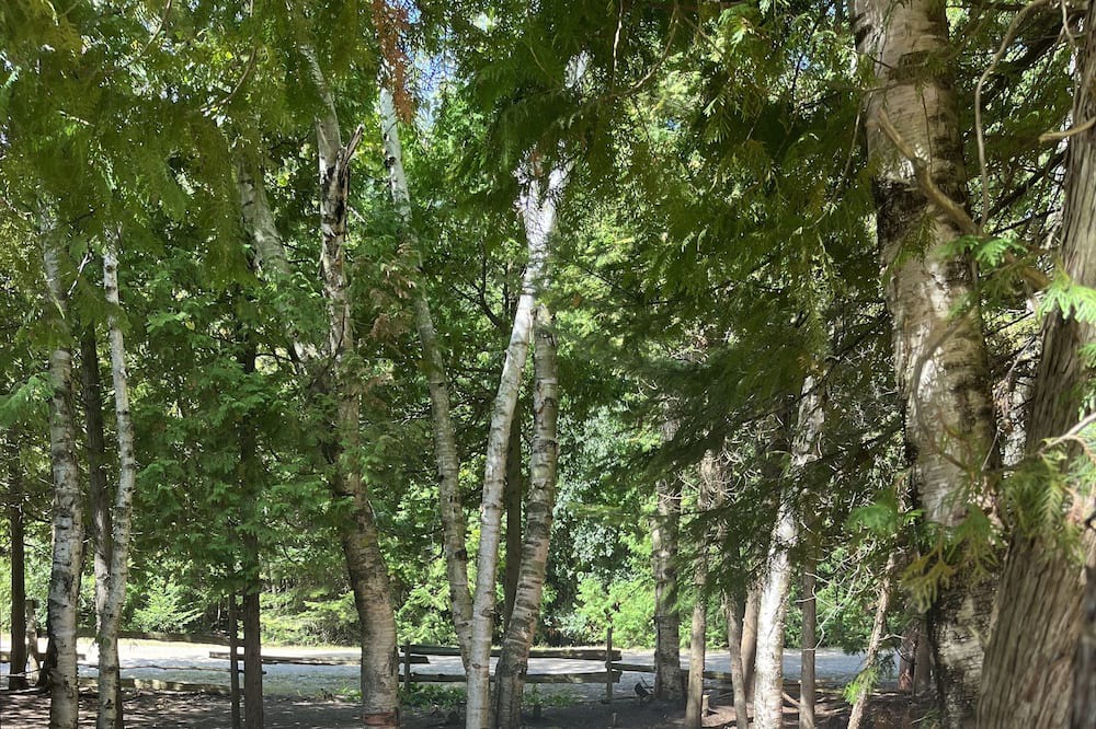 Photo of Outdoor in Huron-Kinloss