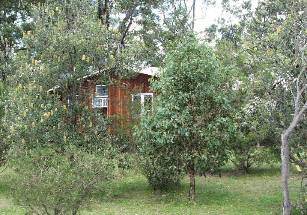 Photo of Outdoor in Lovedale