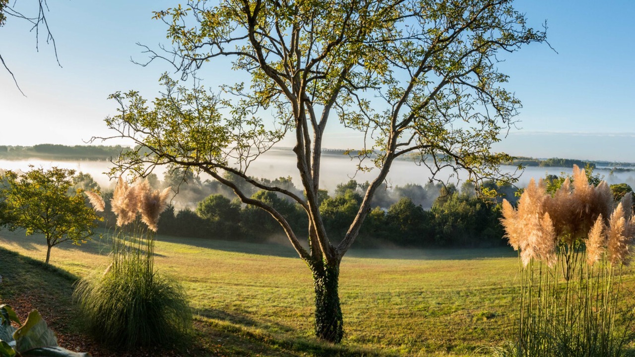 Photo of Others in Briollay