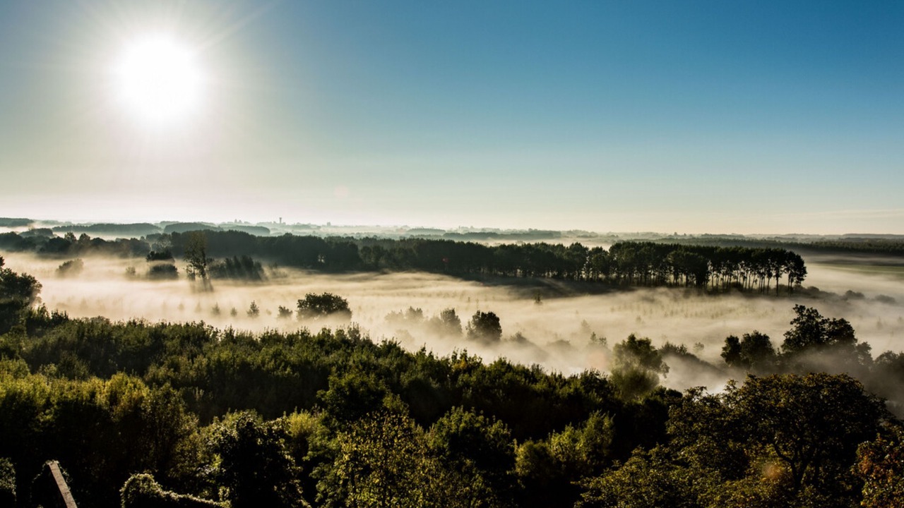 Photo of Others in Briollay