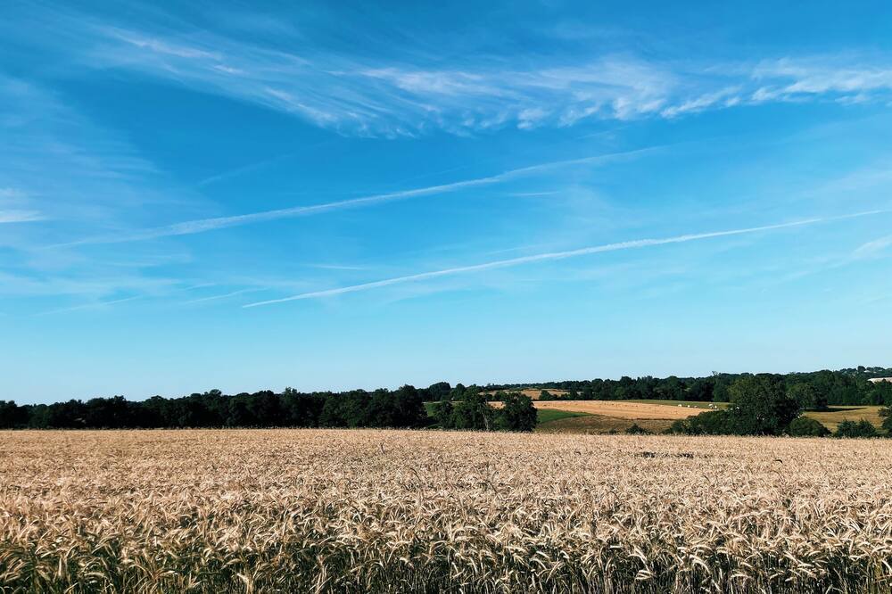 Photo of Outdoor in Saint-Macaire-en-Mauges