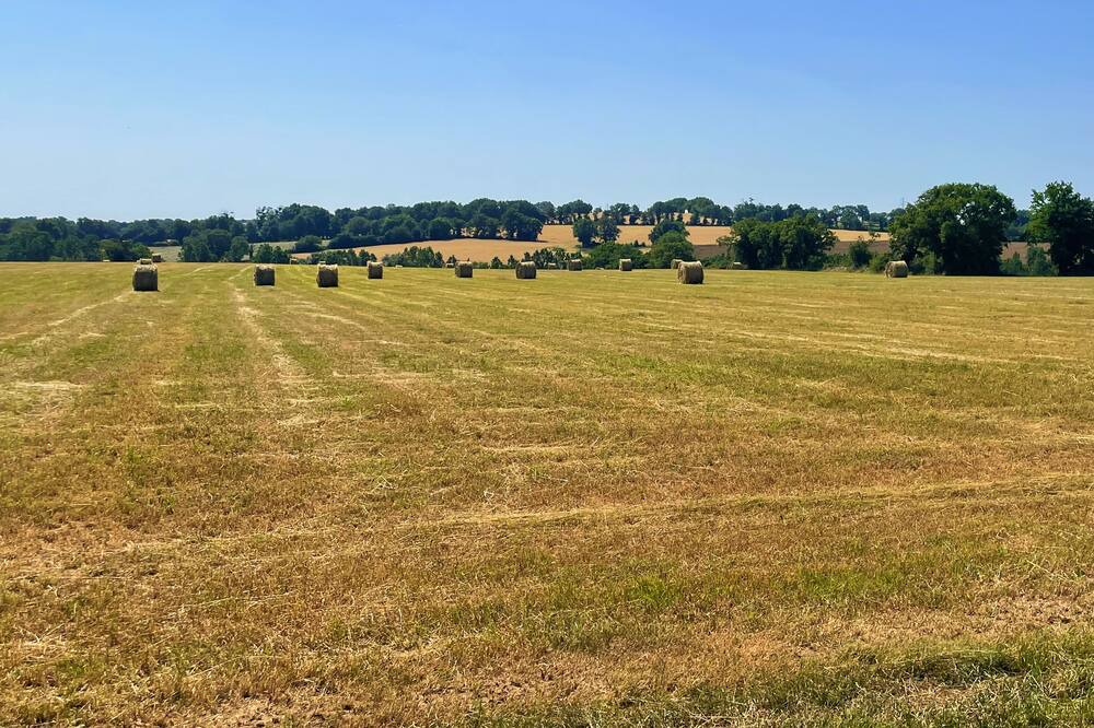 Photo of Outdoor in Saint-Macaire-en-Mauges