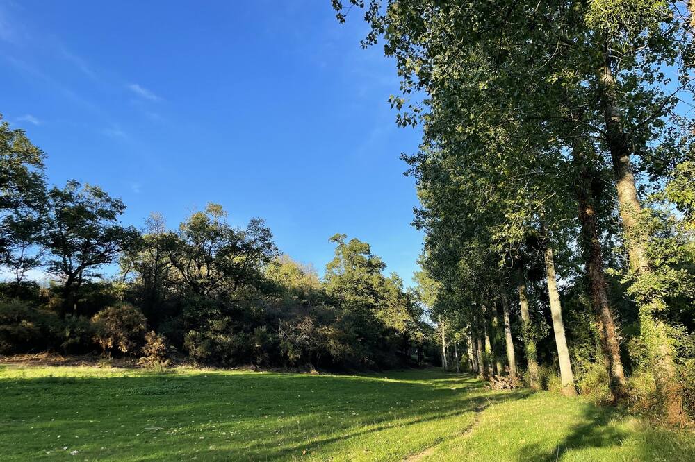Photo of Outdoor in Saint-Macaire-en-Mauges