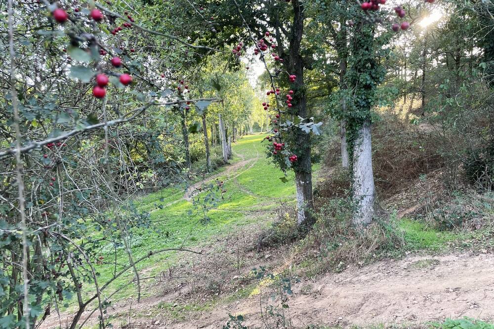 Photo of Outdoor in Saint-Macaire-en-Mauges