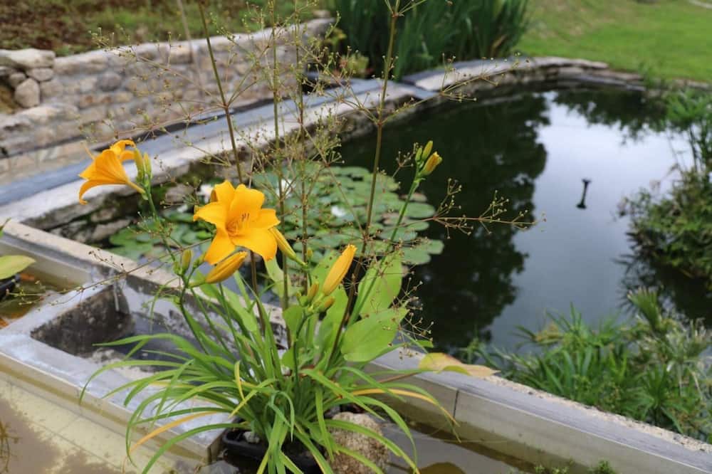 Photo of Outdoor in Guermeur