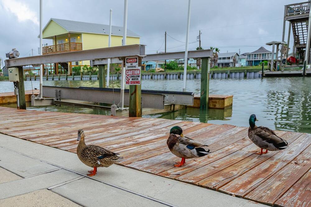 Photo of Others in Rockport
