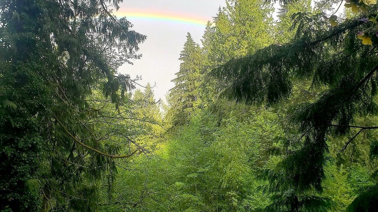 Photo of Others in Jordan Road-Canyon Creek