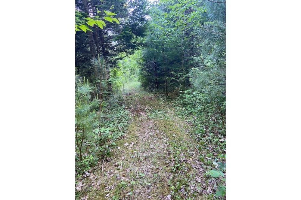 Photo of Outdoor in Marshfield