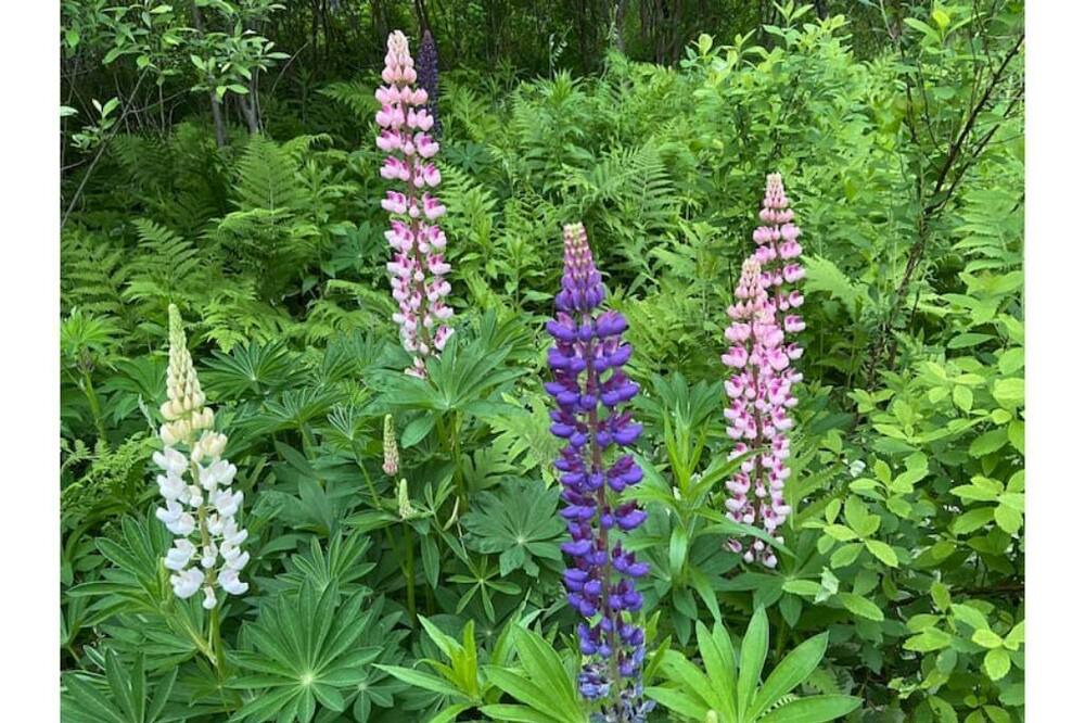 Photo of Others in Marshfield