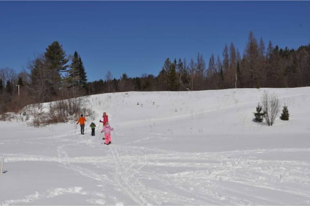 Photo of Others in Marshfield