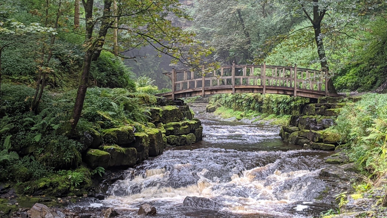 Photo of Others in Gayle