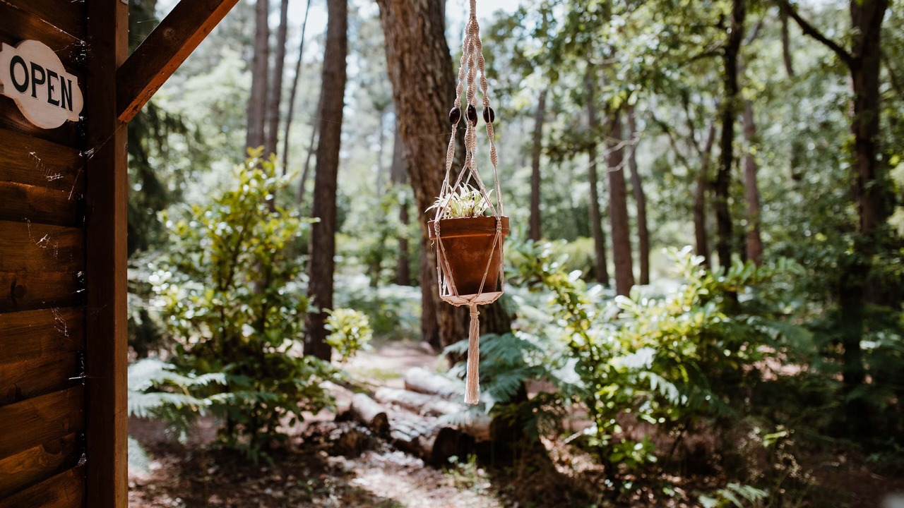 Photo of Outdoor in Clefs