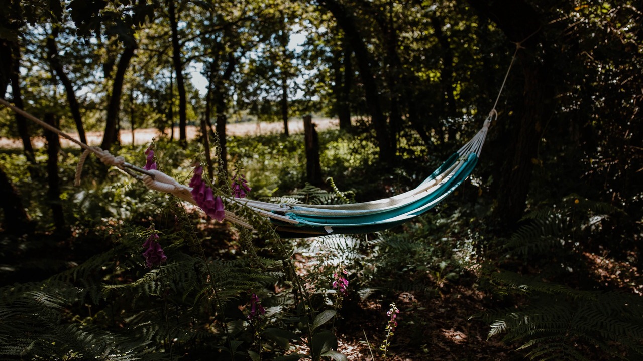 Photo of Outdoor in Clefs