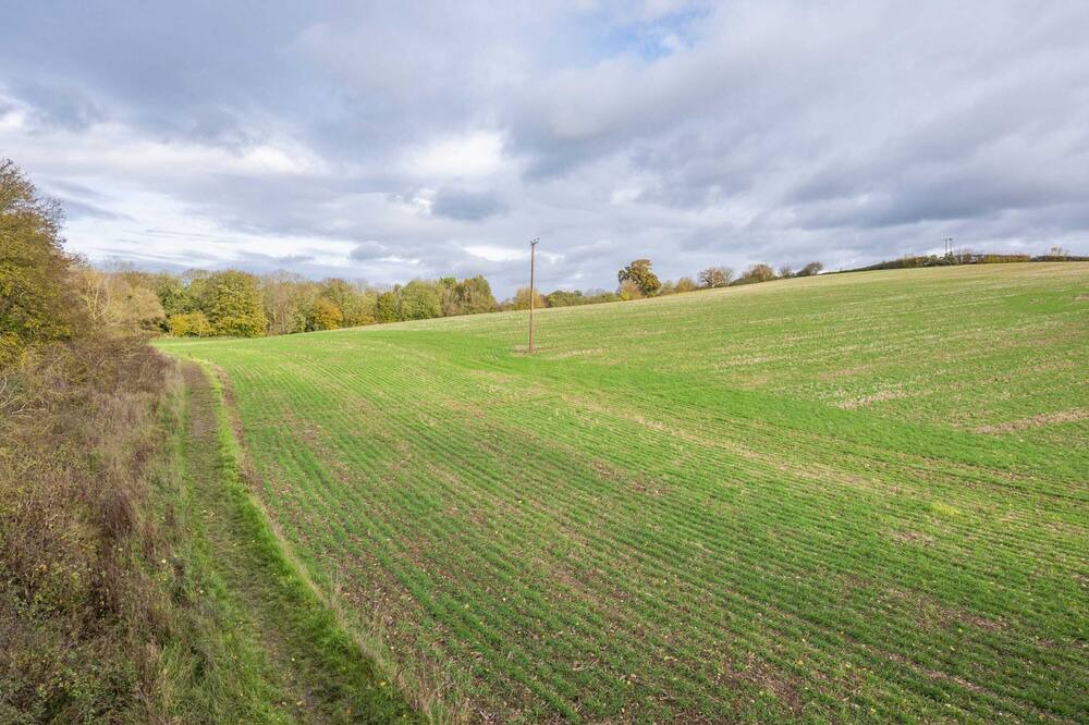 Photo of Others in Hartest