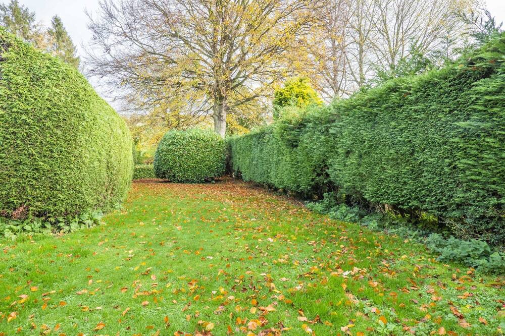 Photo of Others in Hartest