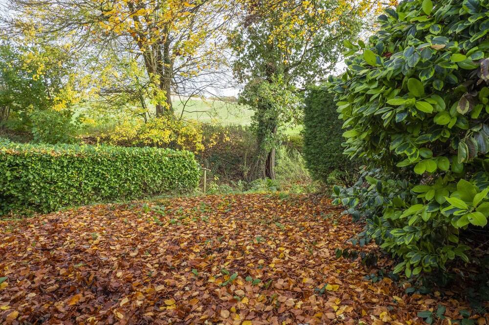 Photo of Others in Hartest