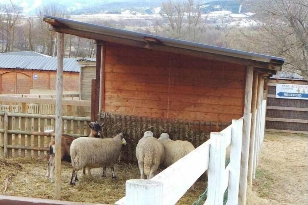 Photo of Others in Bellver de Cerdanya