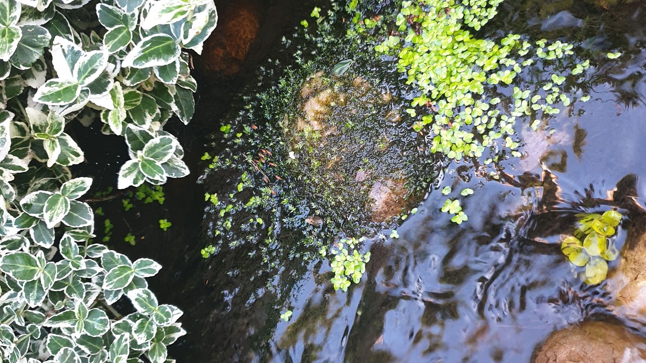 Photo of Outdoor in Stonnall