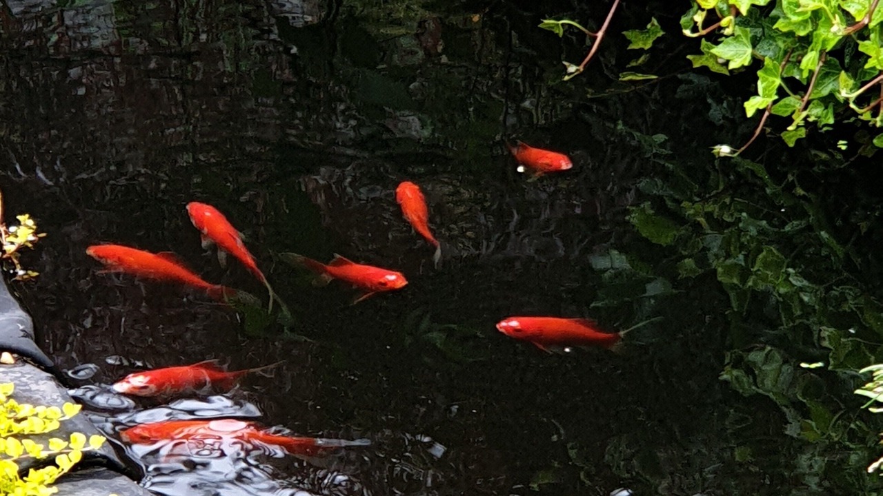 Photo of Outdoor in Stonnall