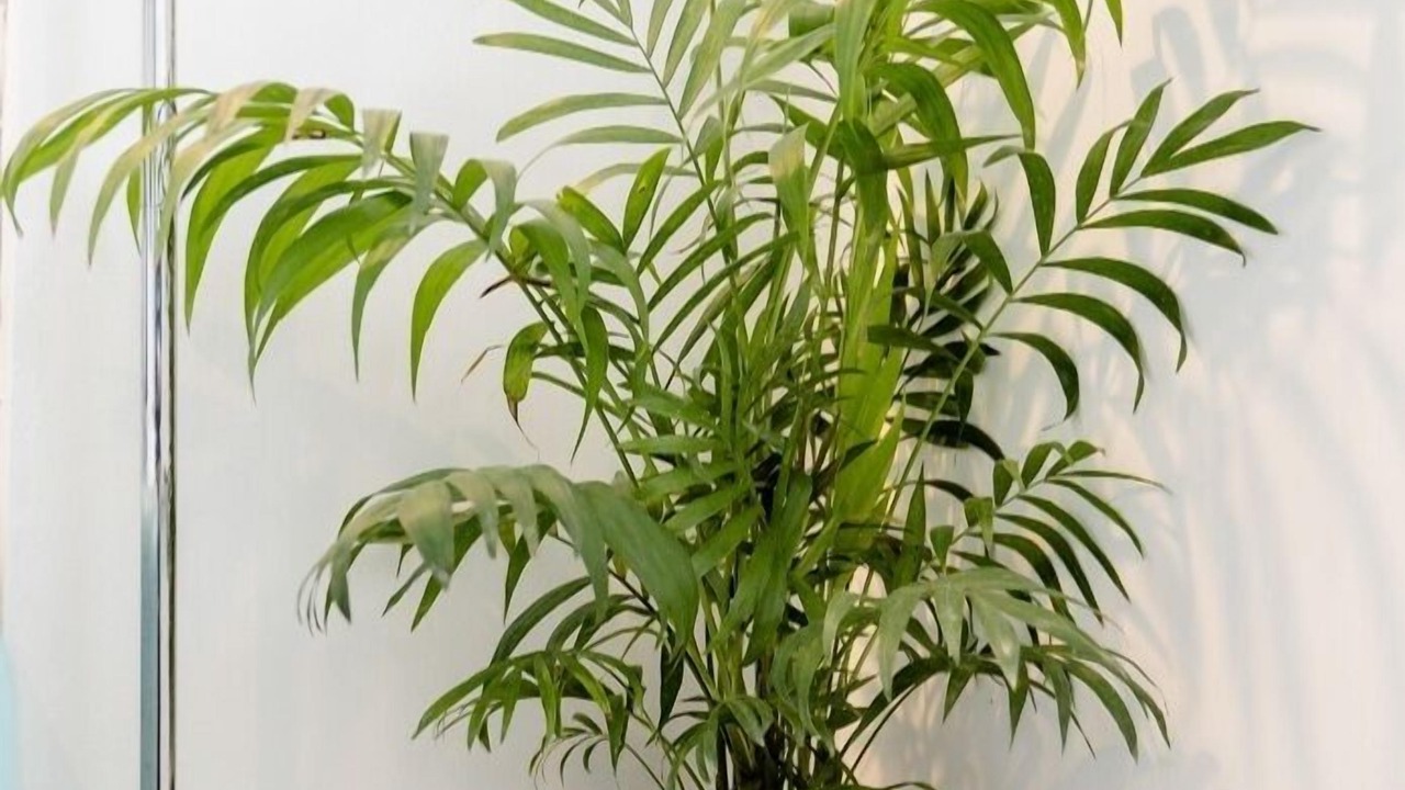 Photo of Bedroom in Stonnall