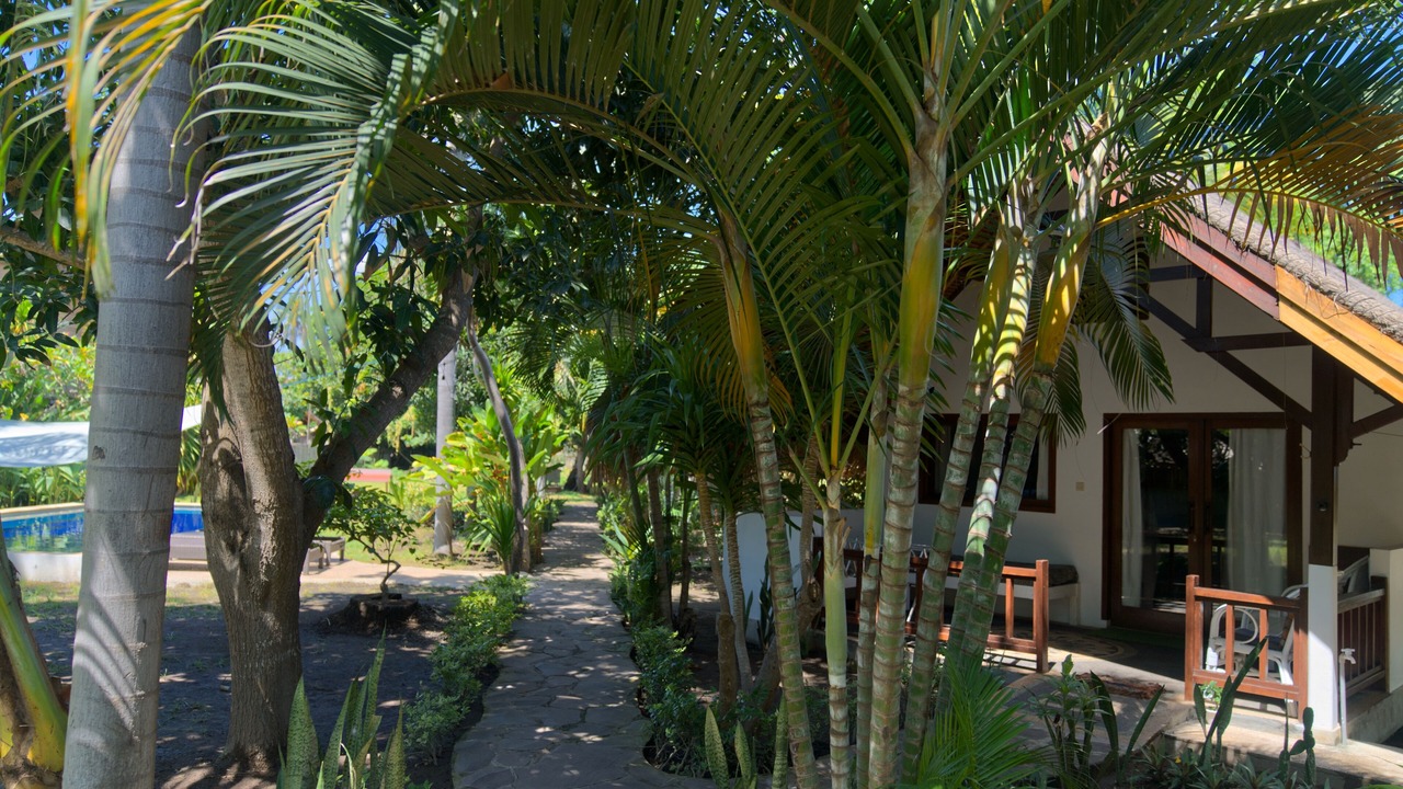 Photo of Bedroom in Gili Air