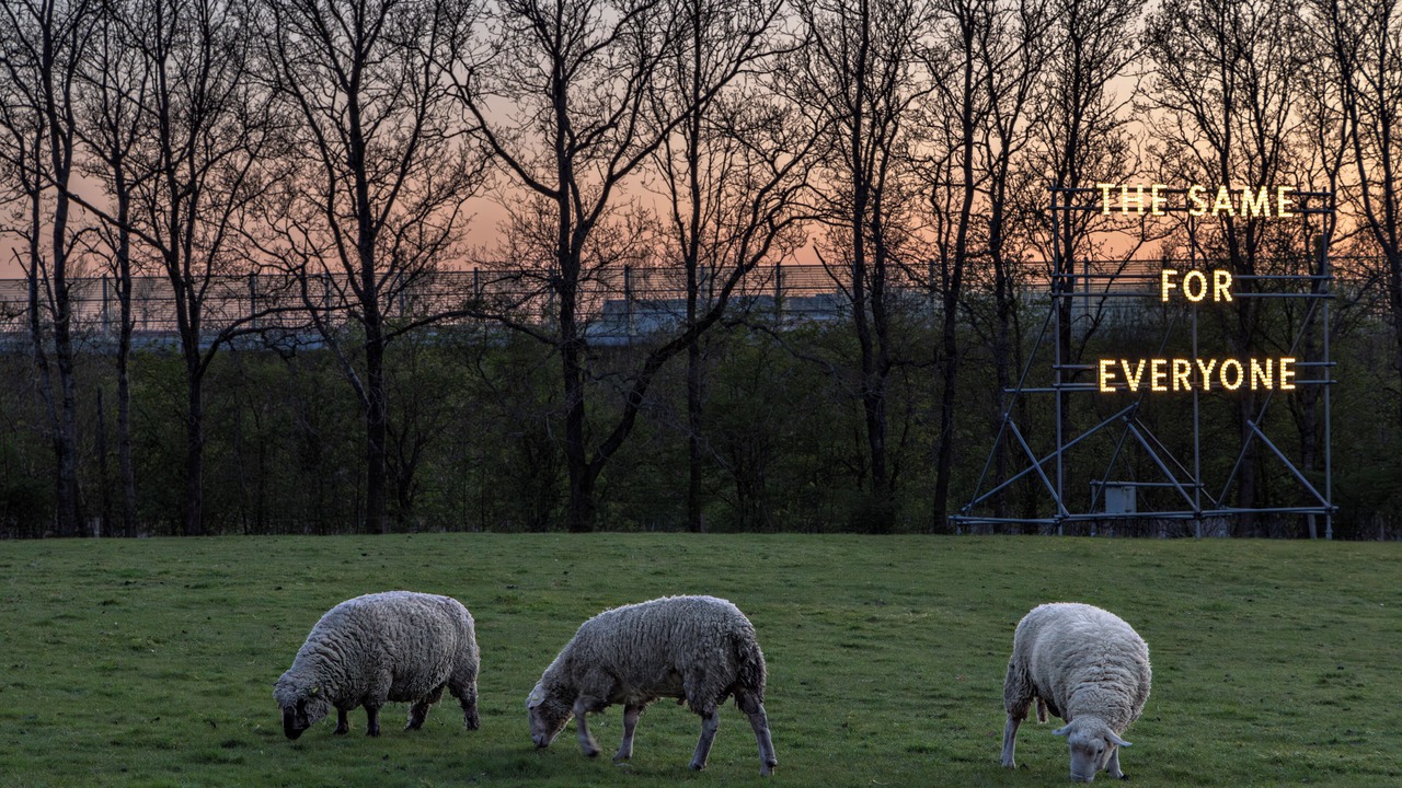 Photo of Outdoor in Birk