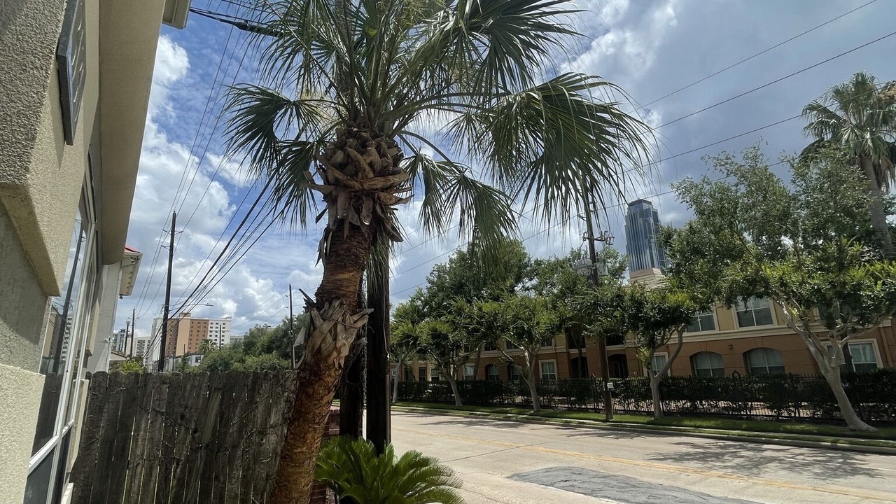 Photo of Outdoor in Uptown