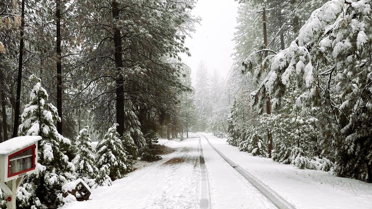 Photo of Outdoor in Placerville
