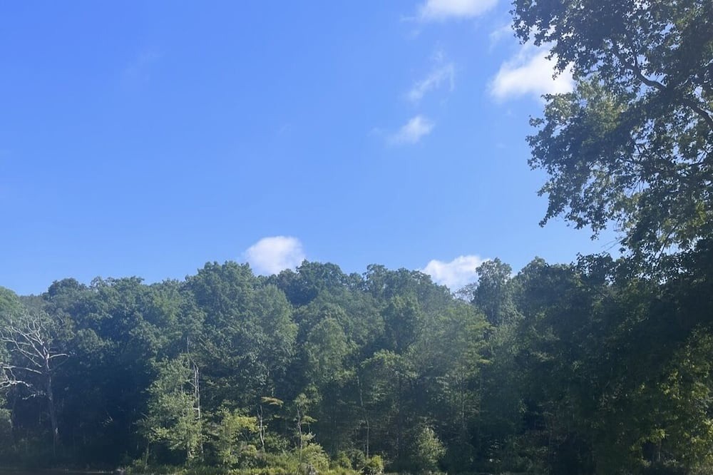 Photo of Outdoor in Deep River