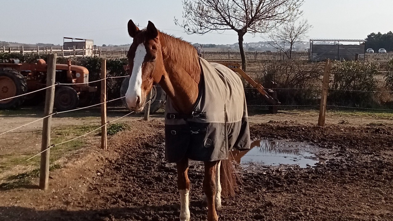 Photo of Others in Perpignan
