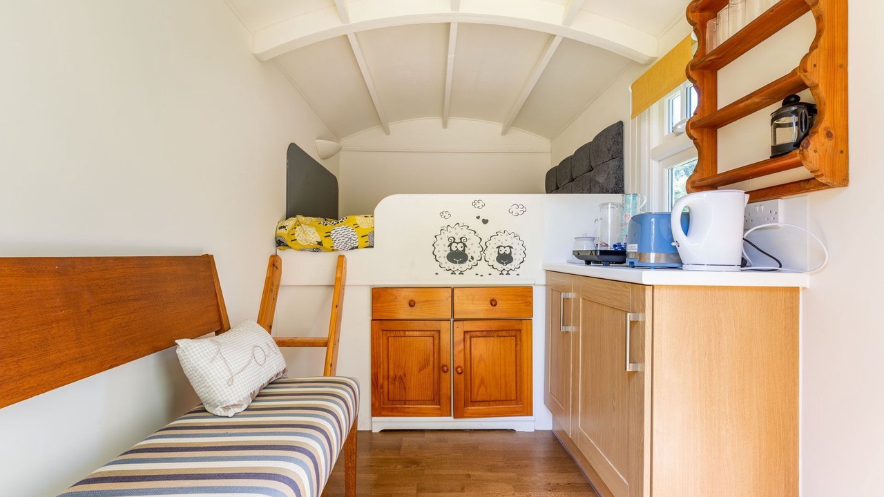 Photo of Others in Trunch