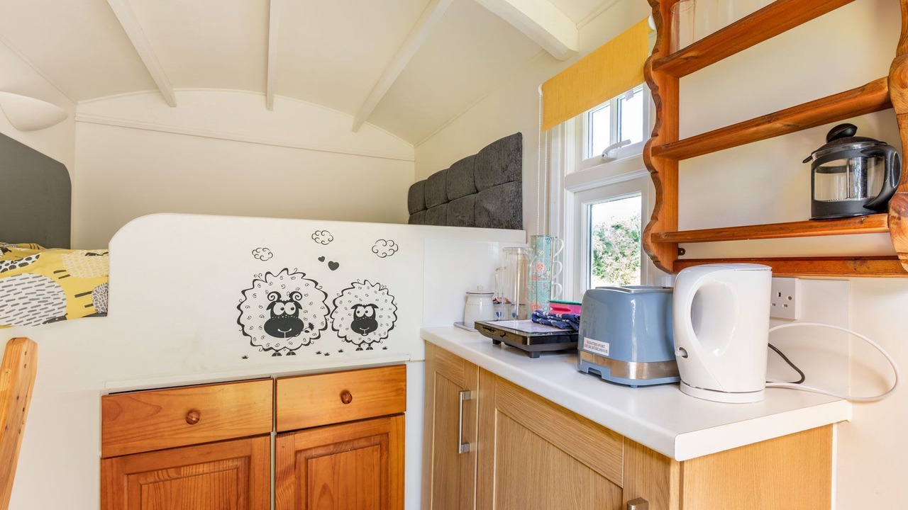 Photo of Others in Trunch