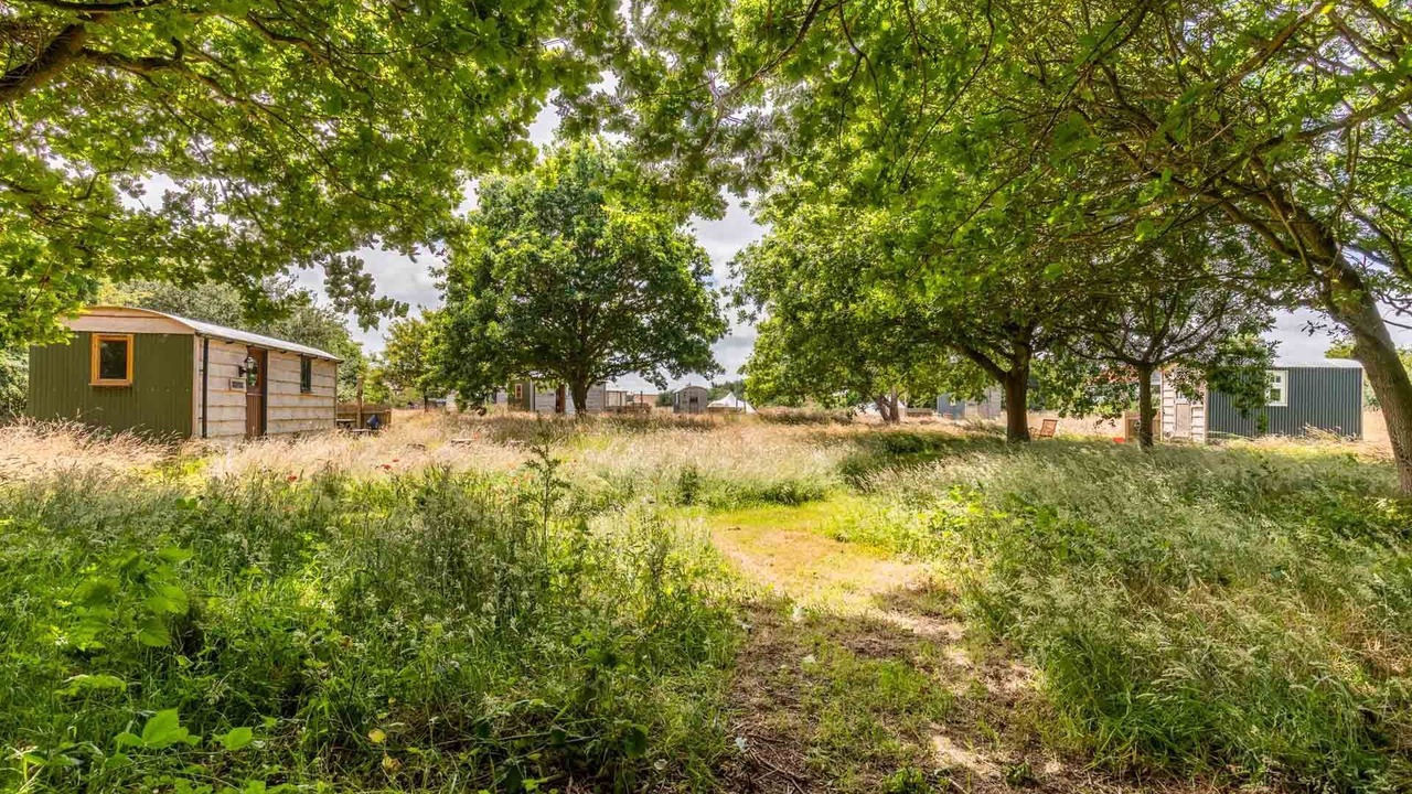 Photo of Others in Trunch