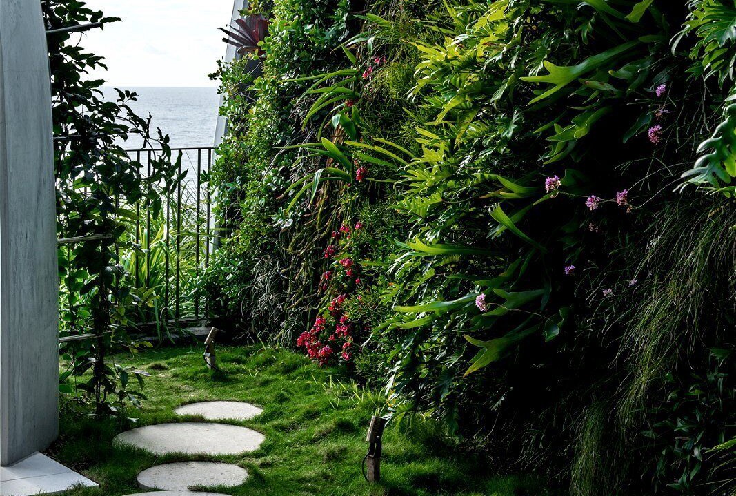 Photo of Outdoor in Sunshine Coast