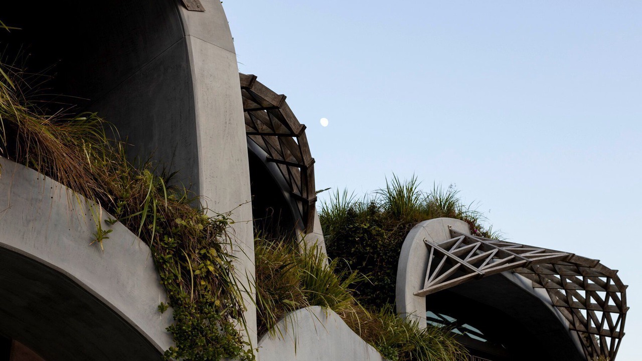 Photo of Outdoor in Sunshine Coast