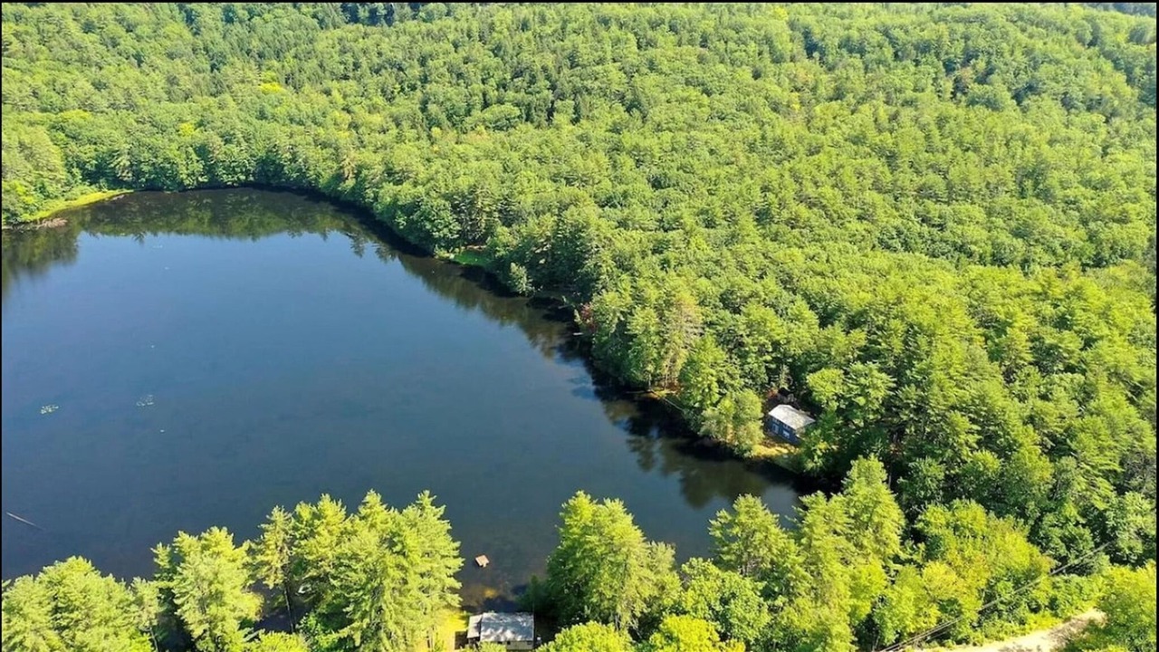 Photo of Others in Parsonsfield