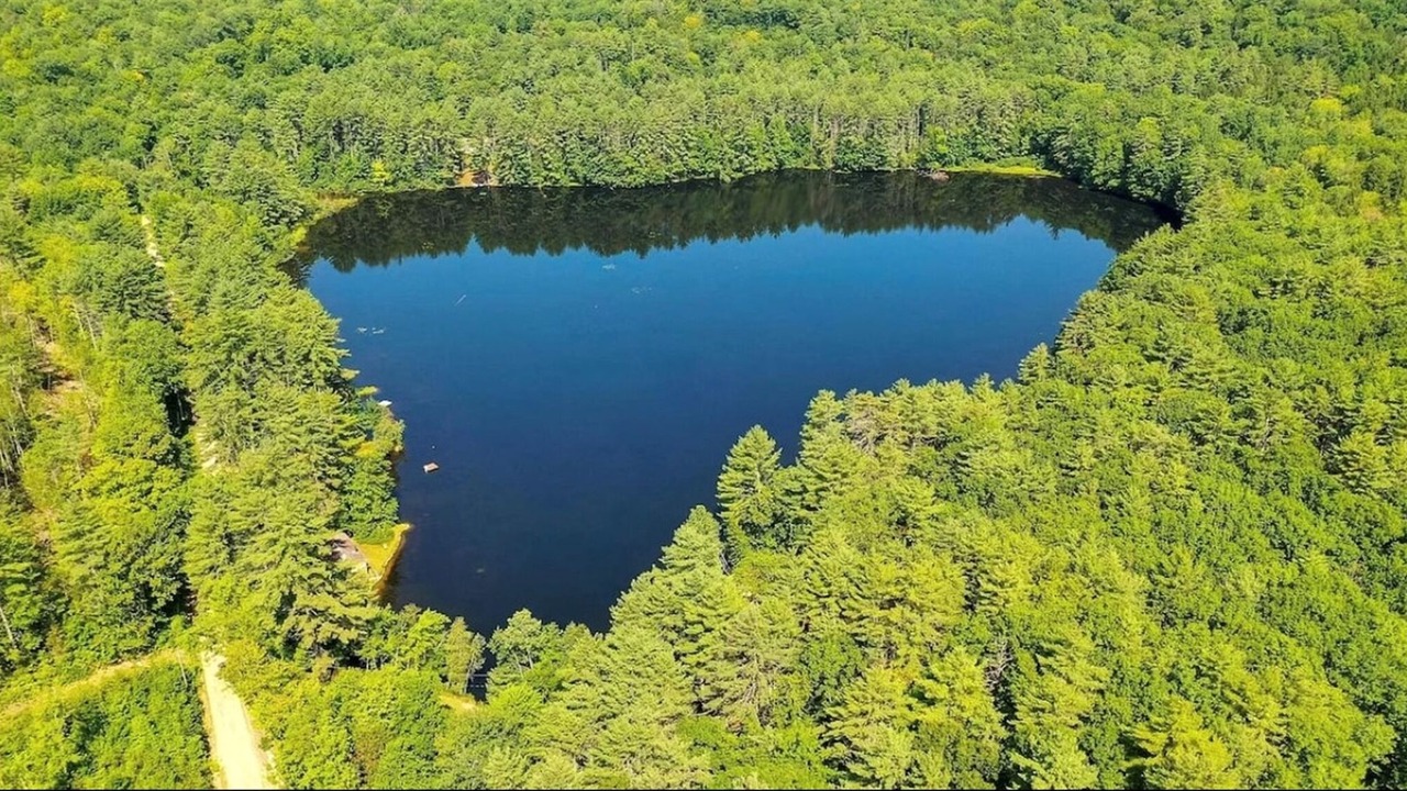 Photo of Others in Parsonsfield