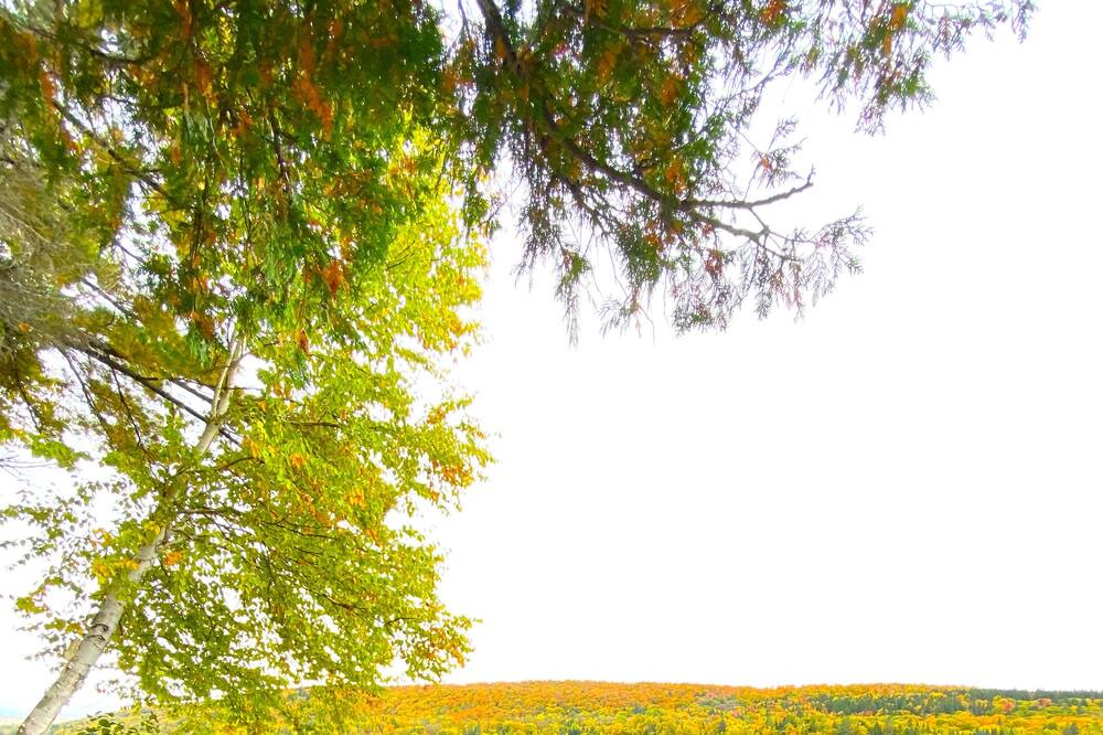 Photo of Outdoor in Lac-Saint-Paul