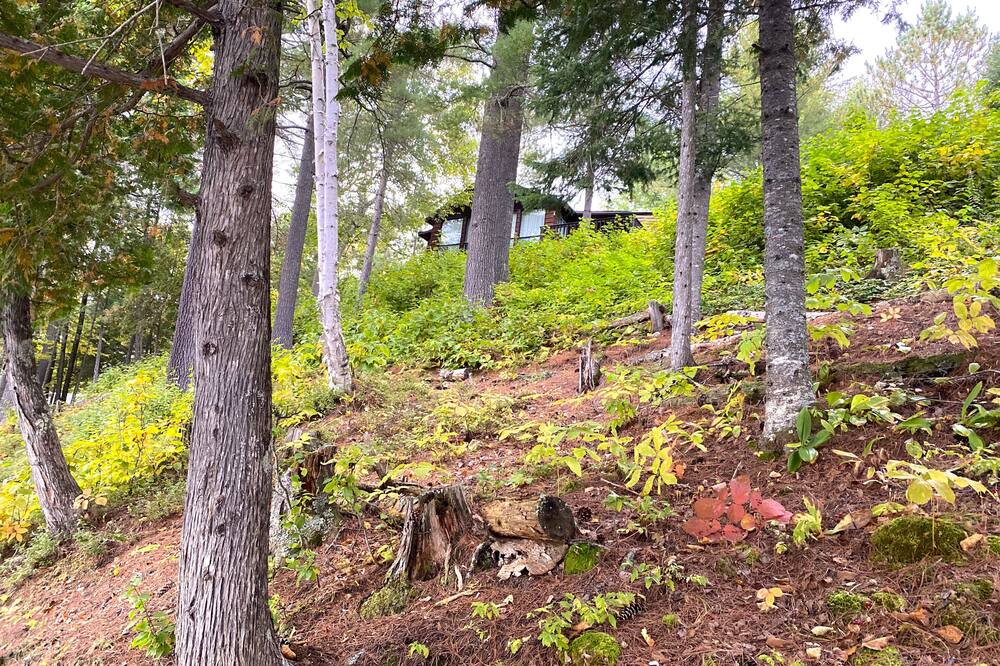 Photo of Outdoor in Lac-Saint-Paul
